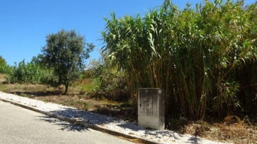 Terreno P/ Prédio para Venda em Taveiro, Ameal e Arzila