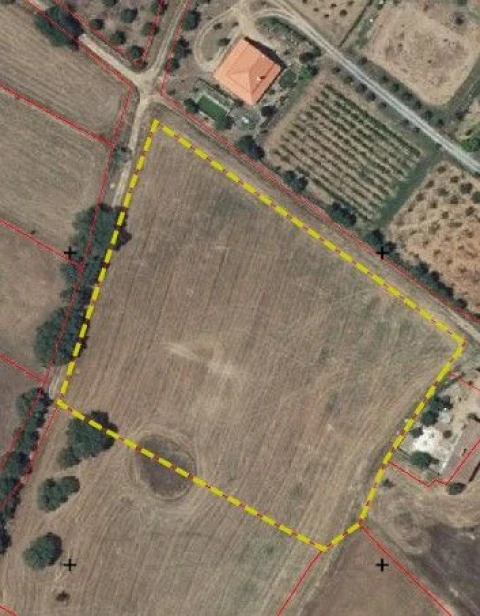 Terreno para Venda em Monsaraz