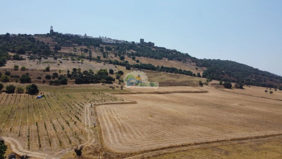 Terreno para Venda em Monsaraz Foto 10