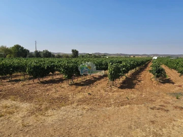 Terreno para Venda em Monsaraz