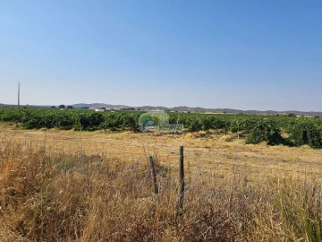 Terreno para Venda em Monsaraz