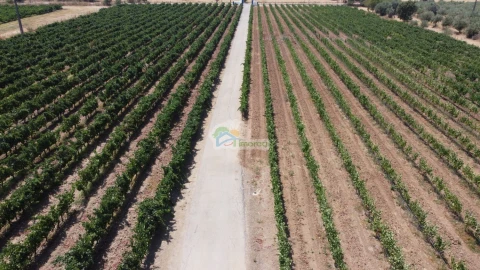 Terreno para Venda em Monsaraz