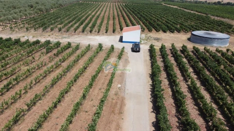 Terreno para Venda em Monsaraz