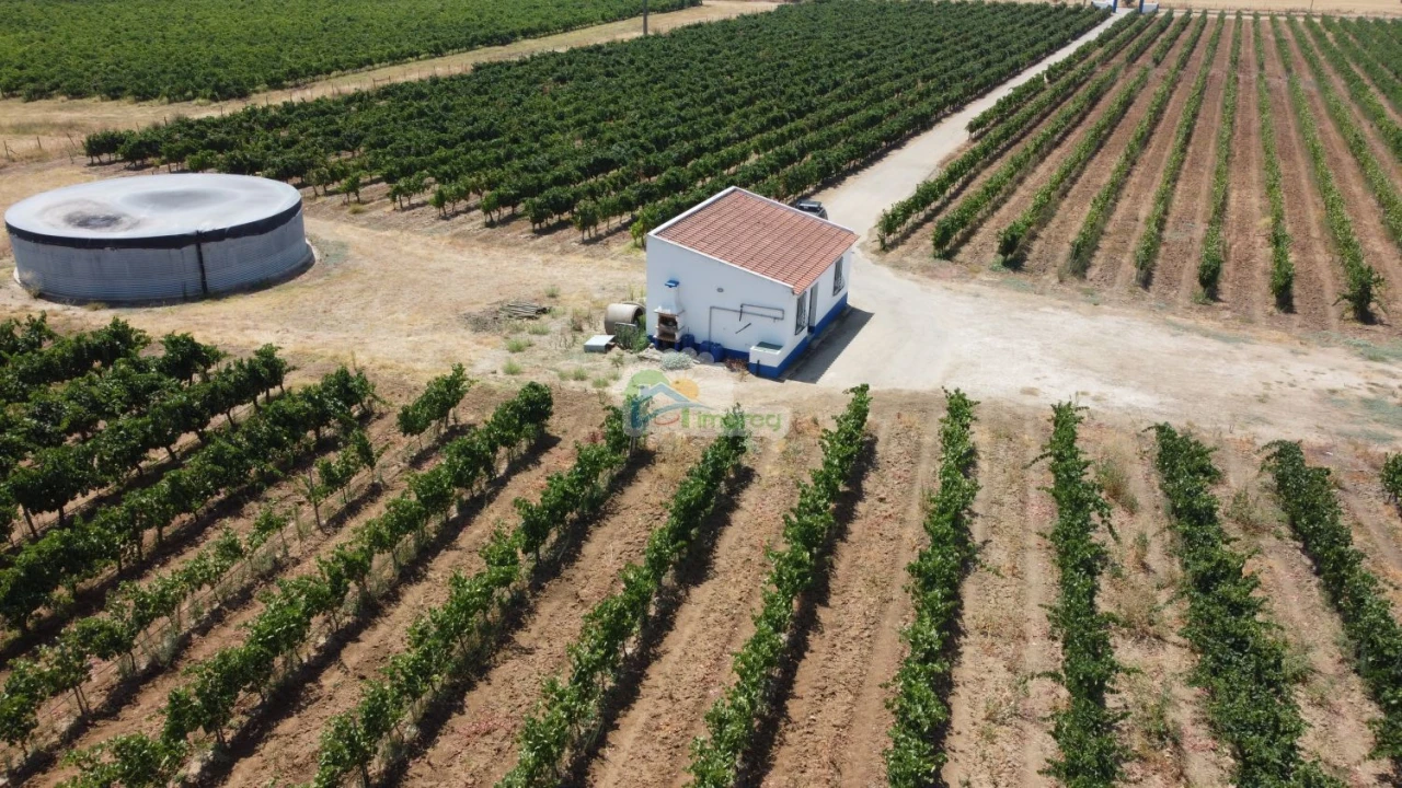 Terreno para Venda em Monsaraz Foto 7
