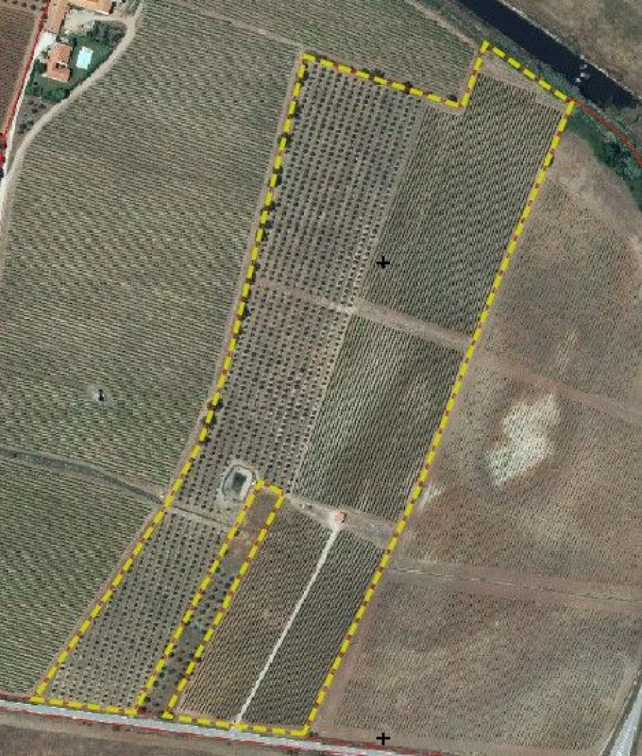 Terreno para Venda em Monsaraz Planta 1