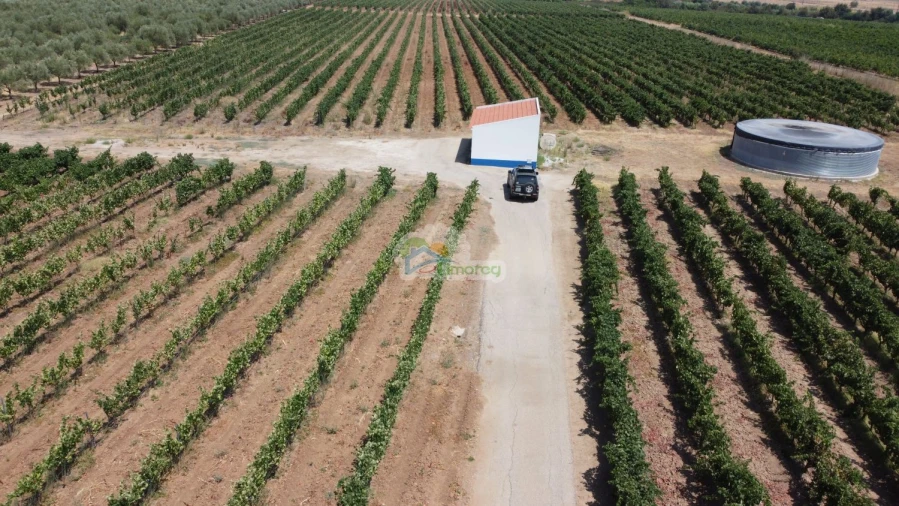 Terreno para Venda em Monsaraz Foto 4