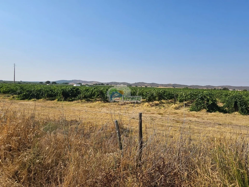 Terreno para Venda em Monsaraz Foto 8
