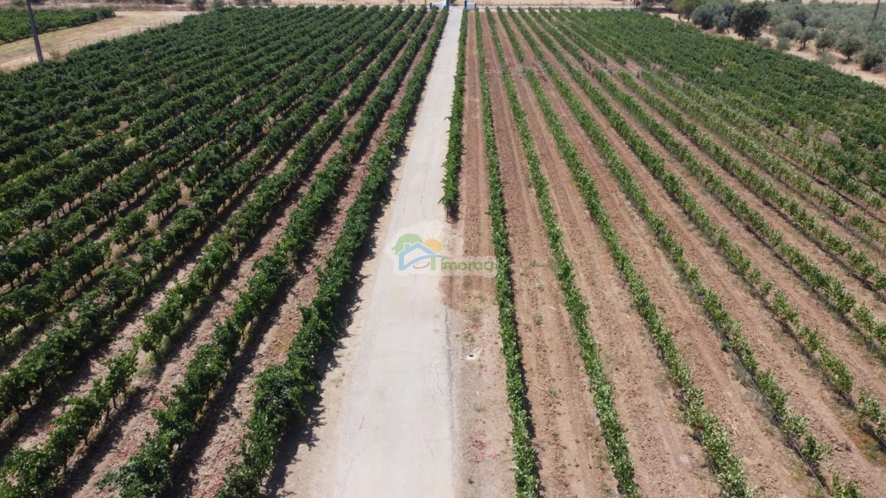 Terreno para Venda em Monsaraz Foto 3
