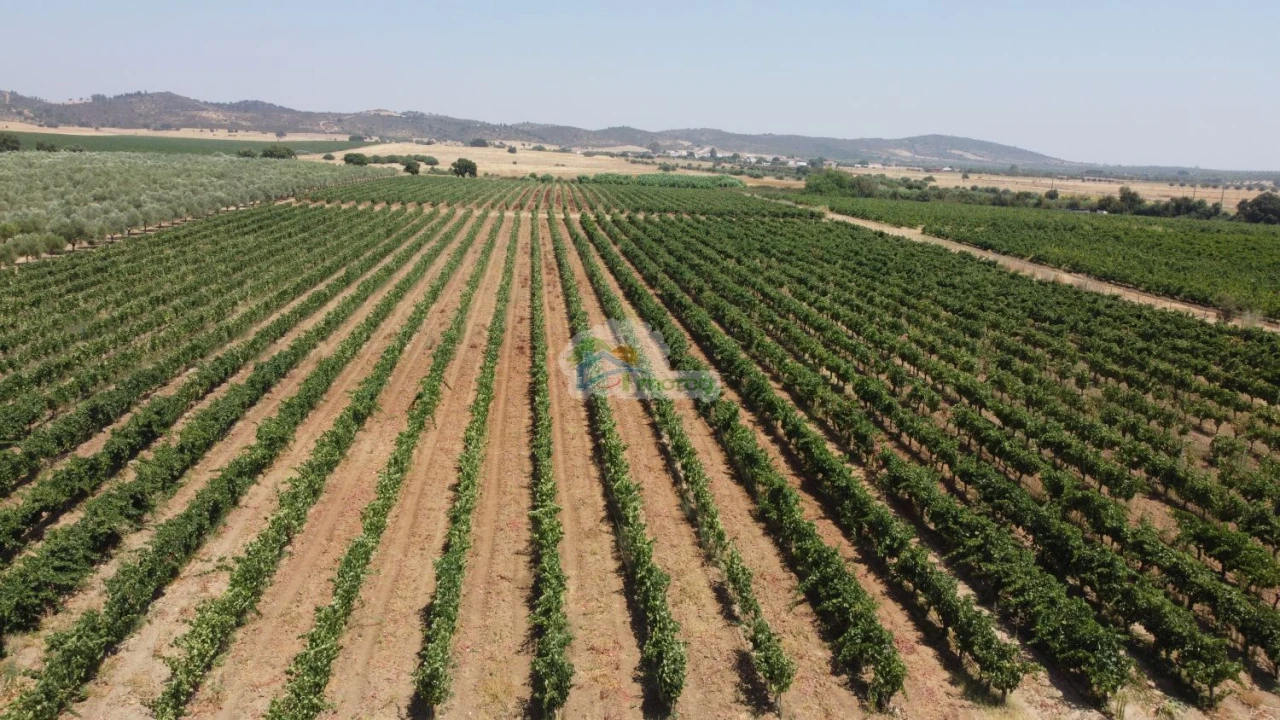 Terreno para Venda em Monsaraz Foto 1