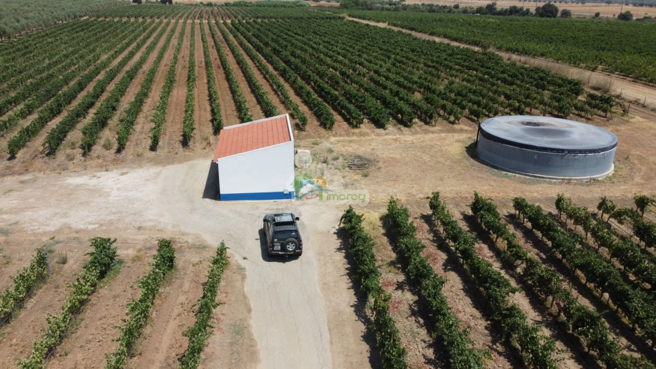 Terreno para Venda em Monsaraz Foto 5