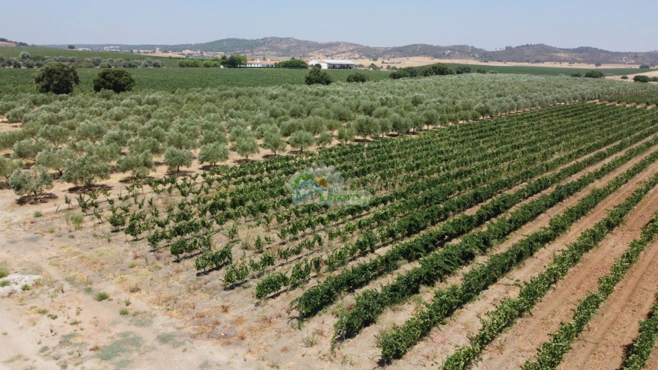 Terreno para Venda em Monsaraz Foto 2