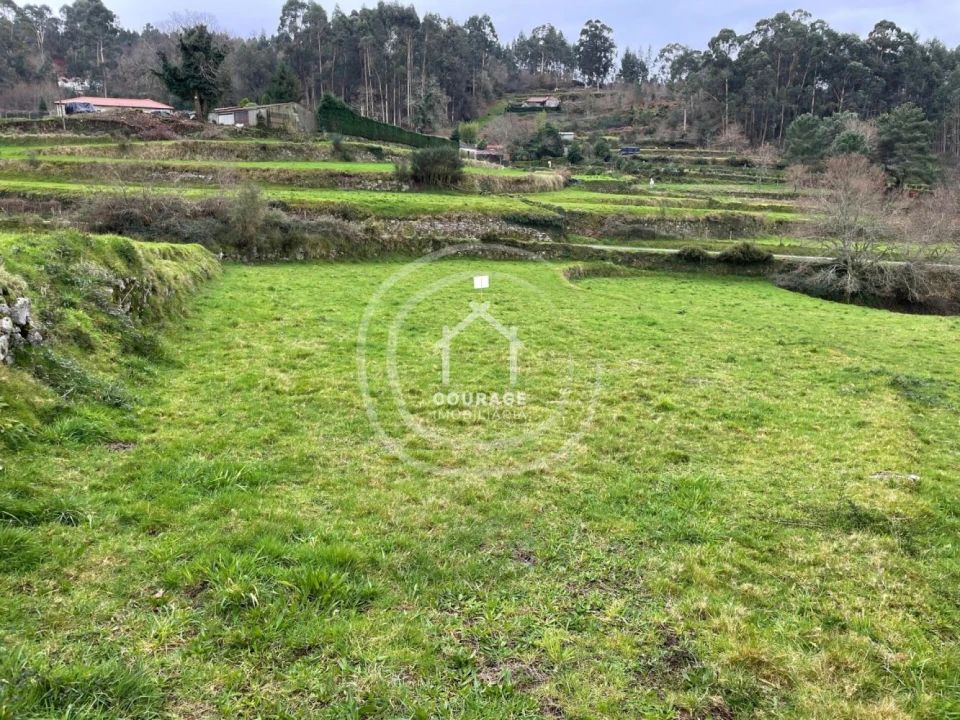 Terreno para Venda em Cunha Foto 5