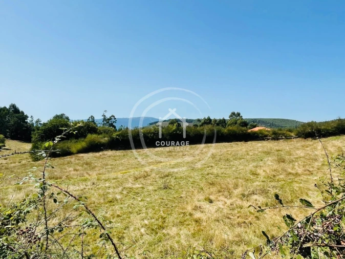 Terreno para Venda em Cunha Foto 9
