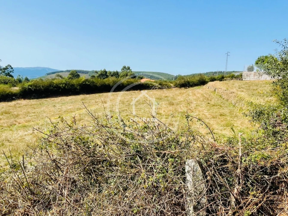 Terreno para Venda em Cunha Foto 1