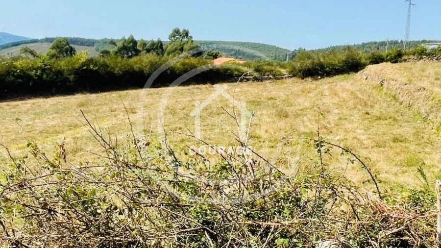 Terreno para Venda em Cunha