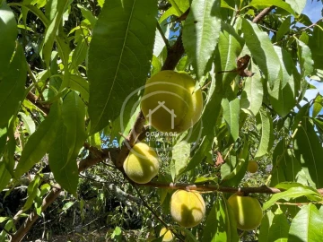 Moradia T3 para Venda em Romarigães