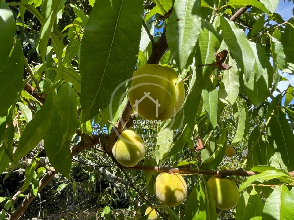 Moradia T3 para Venda em Romarigães Foto 39