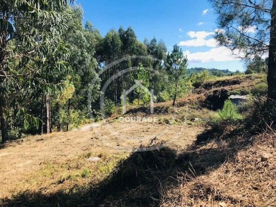 Terreno para Venda em Paredes de Coura e Resende Foto 6