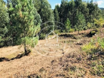 Terreno para Venda em Paredes de Coura e Resende
