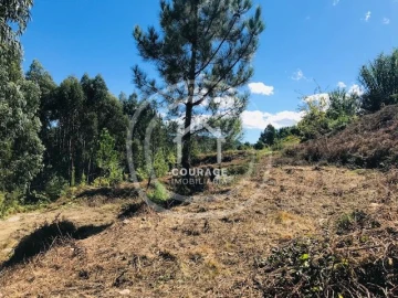 Terreno para Venda em Paredes de Coura e Resende
