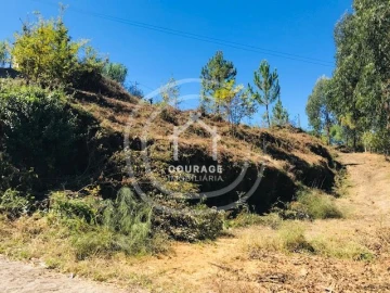 Terreno para Venda em Paredes de Coura e Resende