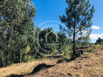 Terreno para Venda em Paredes de Coura e Resende