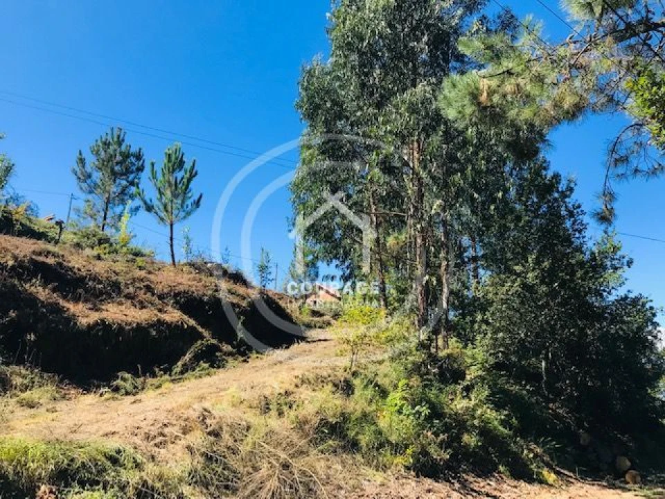 Terreno para Venda em Paredes de Coura e Resende Foto 26