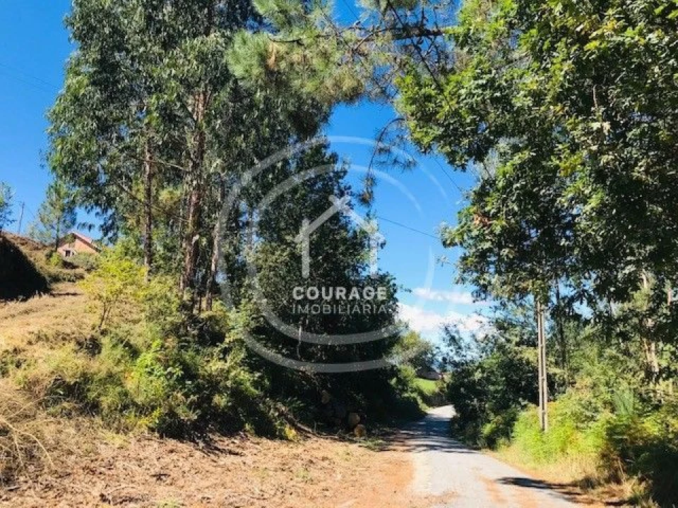 Terreno para Venda em Paredes de Coura e Resende Foto 8