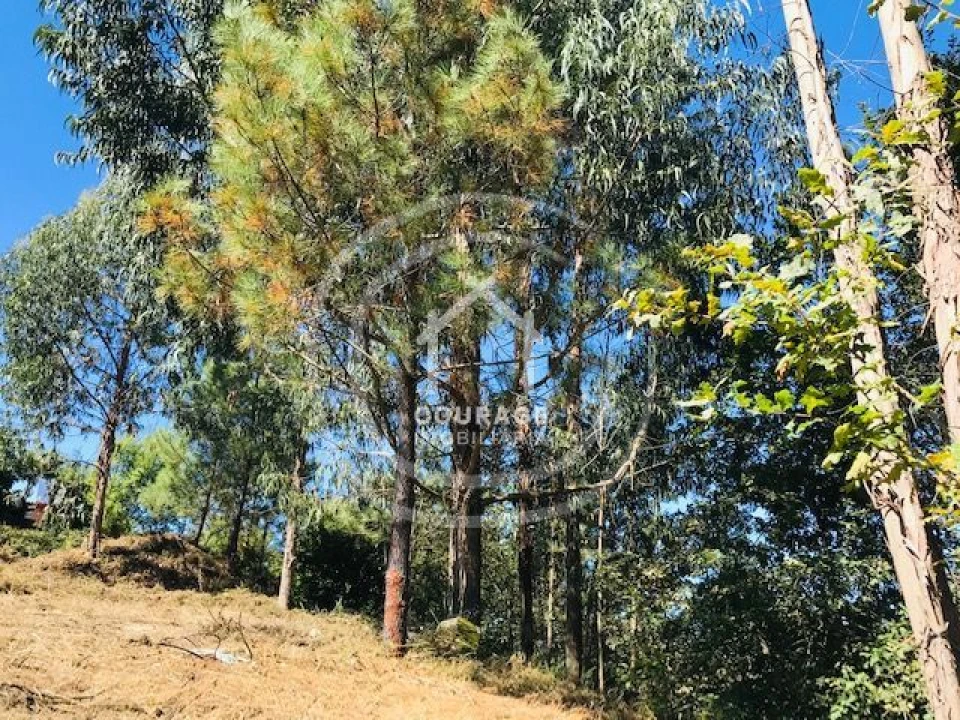 Terreno para Venda em Paredes de Coura e Resende Foto 20