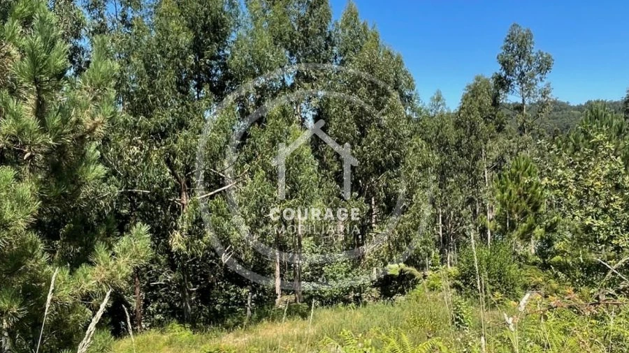 Terreno para Venda em Paredes de Coura e Resende