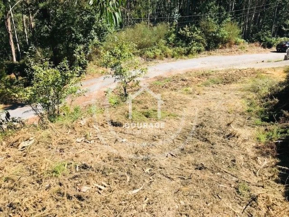 Terreno para Venda em Paredes de Coura e Resende Foto 12