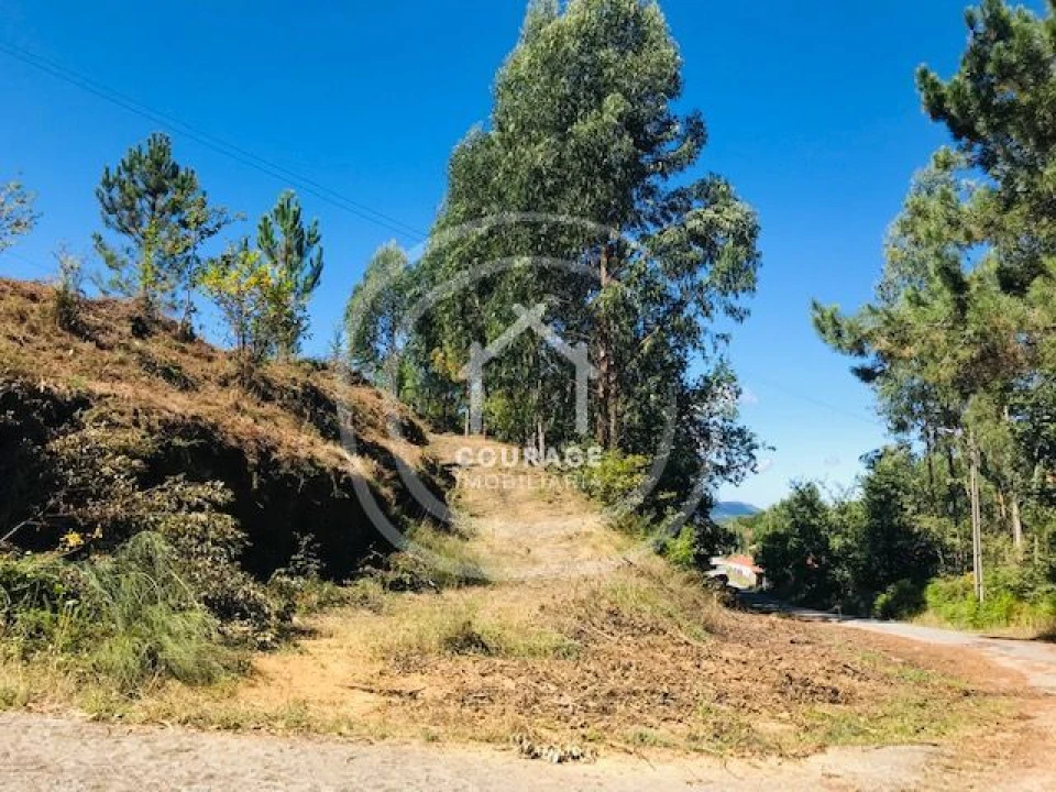 Terreno para Venda em Paredes de Coura e Resende Foto 17