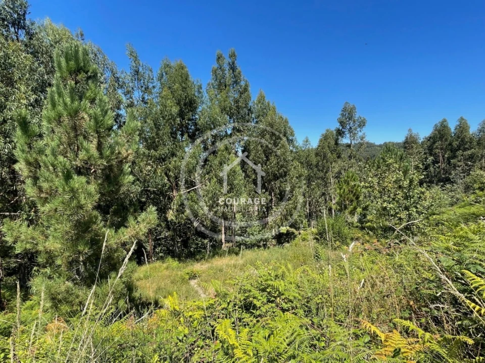 Terreno para Venda em Paredes de Coura e Resende Foto 1