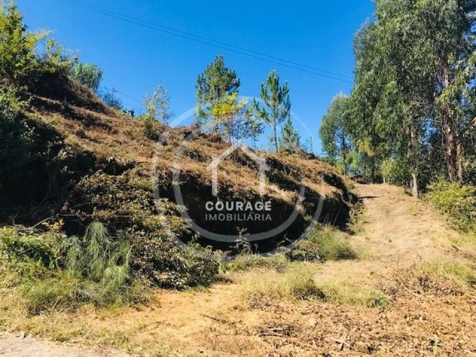 Terreno para Venda em Paredes de Coura e Resende Foto 5