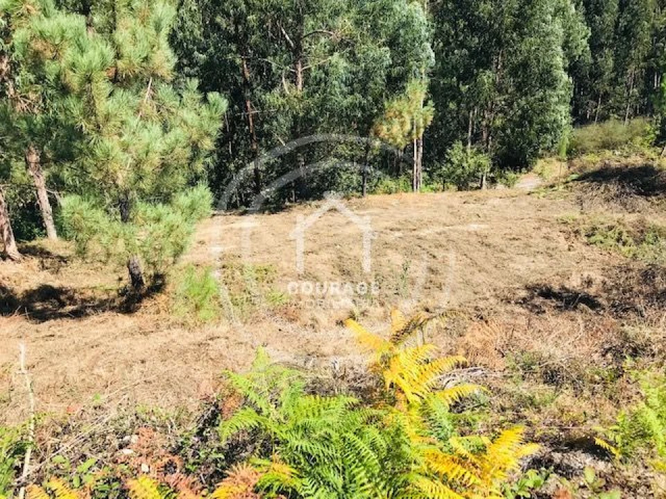 Terreno para Venda em Paredes de Coura e Resende Foto 14