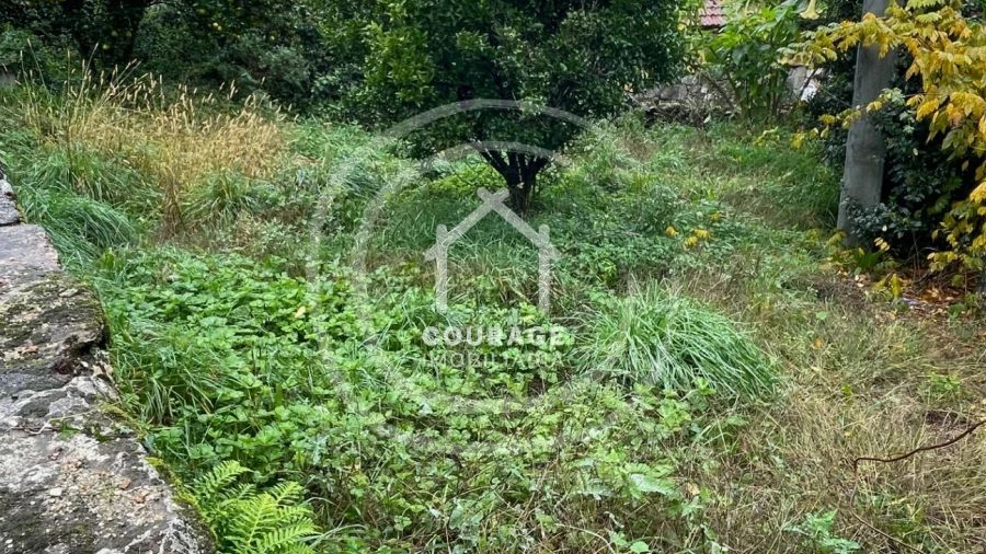 Moradia T0 para Venda em Insalde e Porreiras