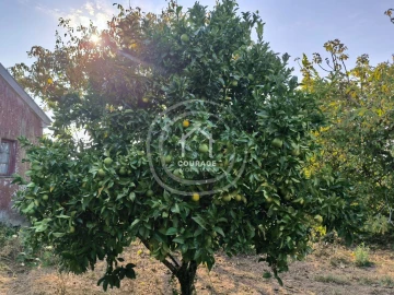 Moradia T3 para Venda em Agualonga