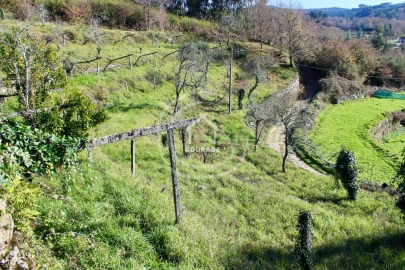Moradia T3 para Venda em Insalde e Porreiras