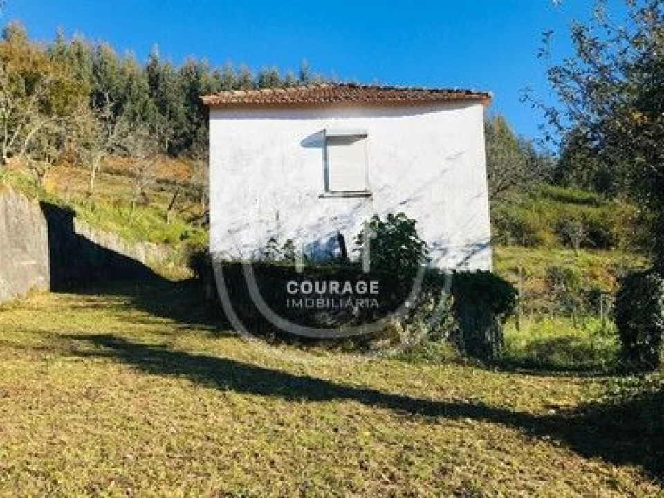 Moradia T3 para Venda em Insalde e Porreiras Foto 32