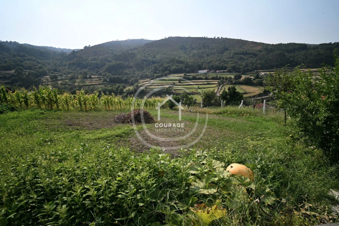 Moradia T3 para Venda em Labrujó, Rendufe e Vilar do Monte Foto 31