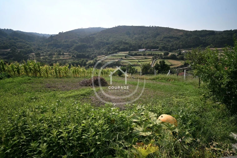 Moradia T3 para Venda em Labrujó, Rendufe e Vilar do Monte Foto 31