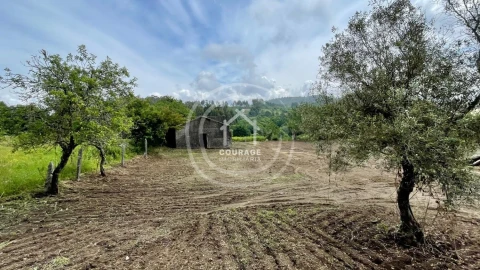 Moradia T3 para Venda em Candemil e Gondar