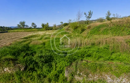 Terreno para Venda em Cerdal