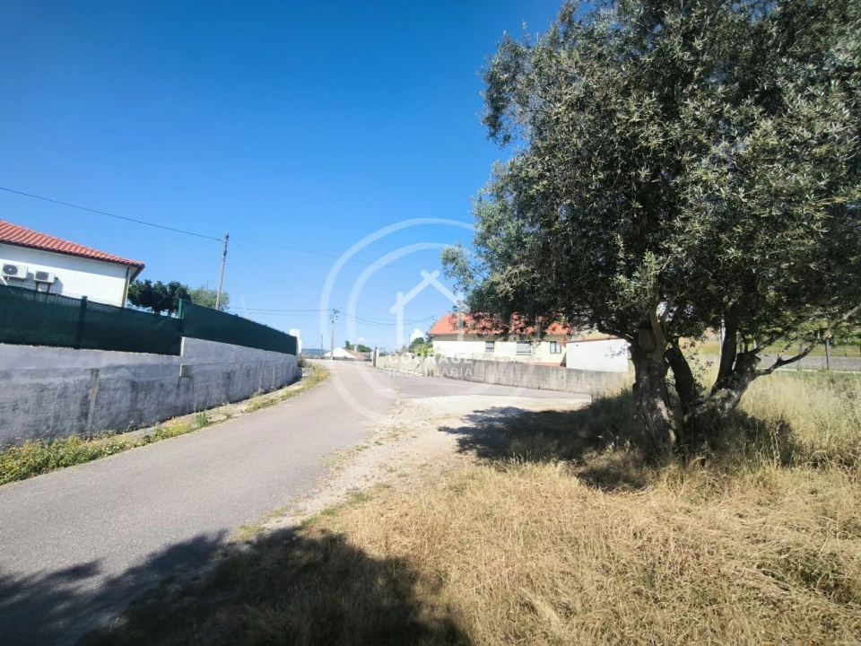Terreno para Venda em Paredes de Coura e Resende Foto 20