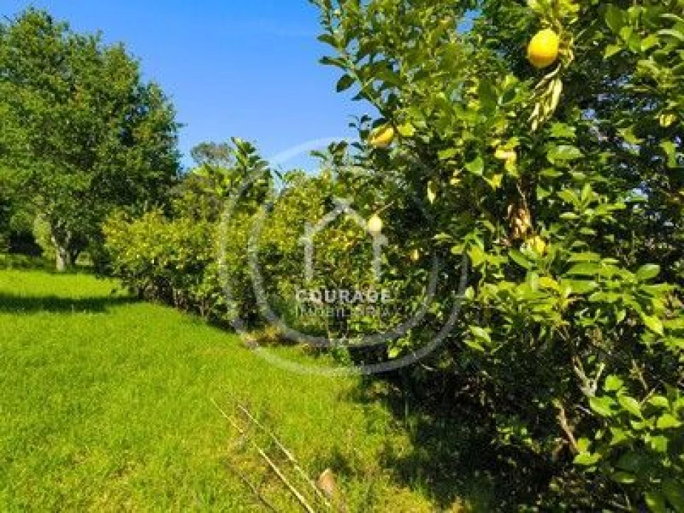 Moradia T2 para Venda em Formariz e Ferreira Foto 6