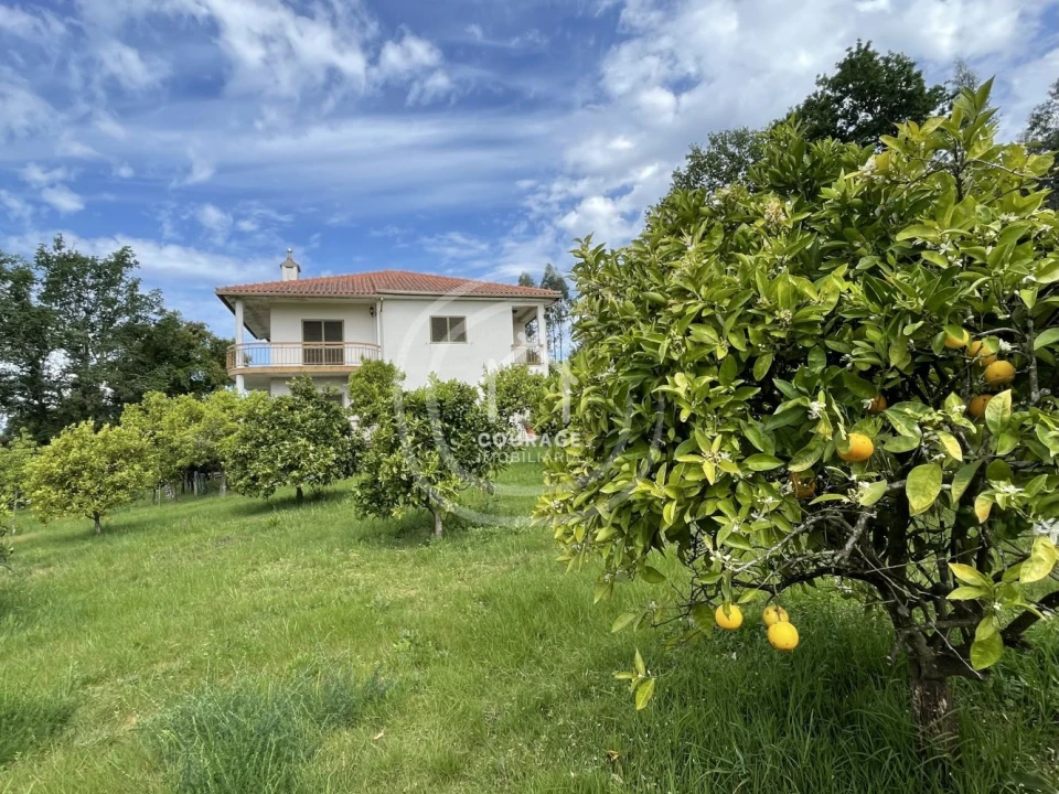 Moradia T4 para Venda em São Pedro de Arcos Foto 6