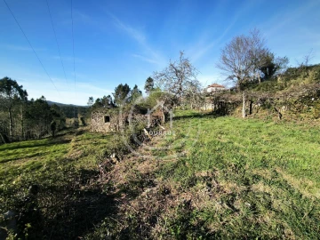 Terreno para Venda em Coura