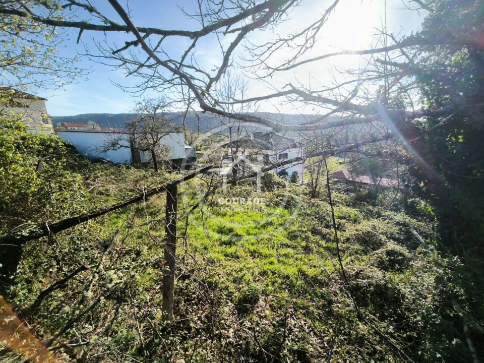 Terreno para Venda em Coura Foto 8