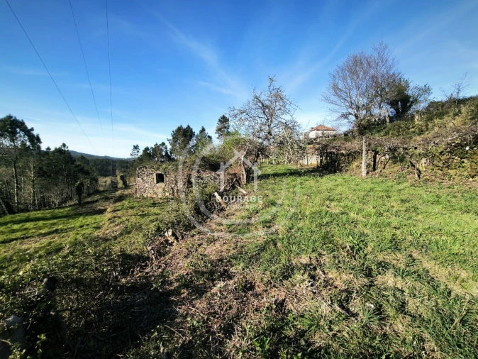 Terreno para Venda em Coura Foto 3
