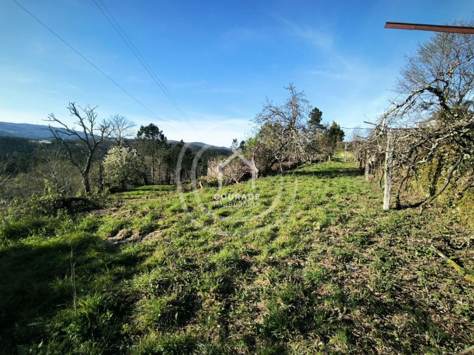 Terreno para Venda em Coura Foto 2